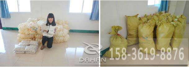 檔球環和橡膠彈跳球